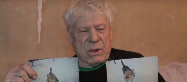 Russia: Bratsk launches desperate search for pensioner's German shepherd Yan - Sputnik International