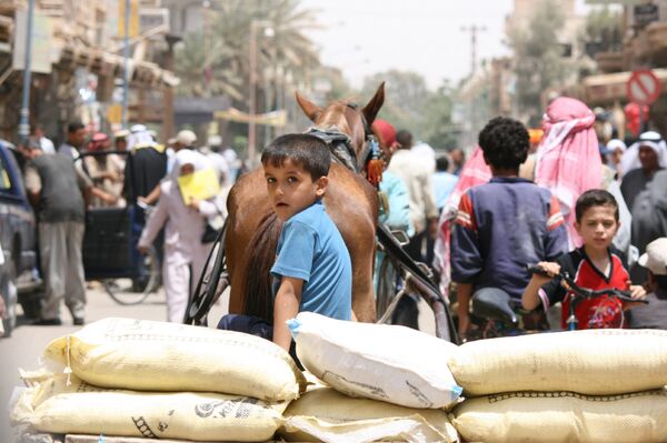 The road from Ar-Raqqa to Palmyra, over Deir ez-Zor The road from Ar-Raqqa to Palmyra, over Deir ez-Zor - Sputnik International