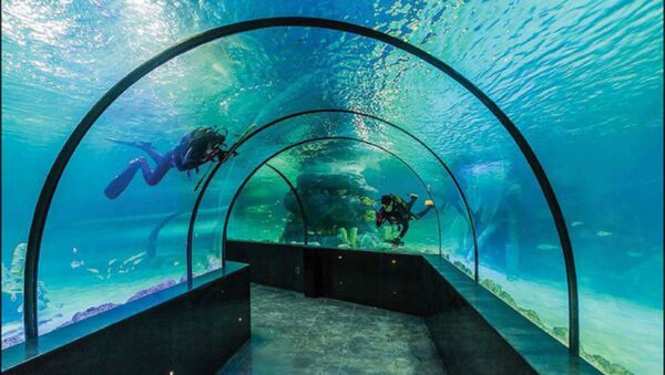 Iran’s first-ever aquarium tunnel opens in Isfahan - Sputnik International