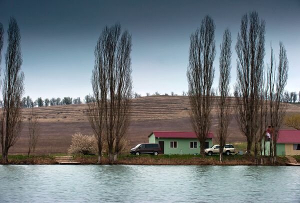 This Week in Pictures - Sputnik International