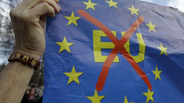 Anti-EU banner. File photo - Sputnik International