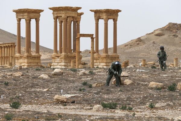 Experts from Russia's International Mine Action Center in Palmyra Experts from Russia's International Mine Action Center in Palmyra - Sputnik International