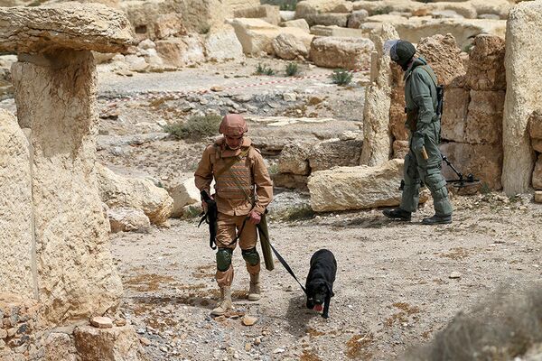 Experts from Russia's International Mine Action Center in Palmyra Experts from Russia's International Mine Action Center in Palmyra - Sputnik International
