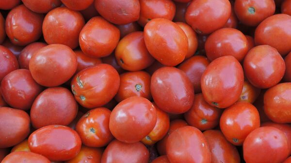 Tomatoes - Sputnik International