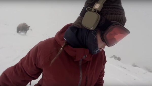 Snowboarder Girl Chased By Bear - Sputnik International