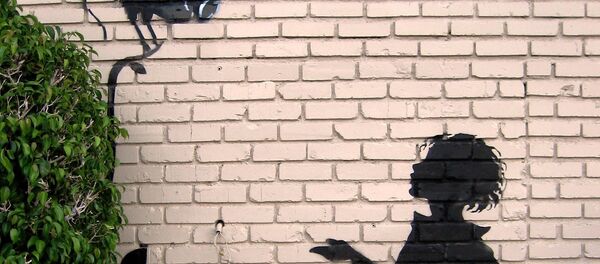 CCTV surveillance CCTV surveillance - Sputnik International