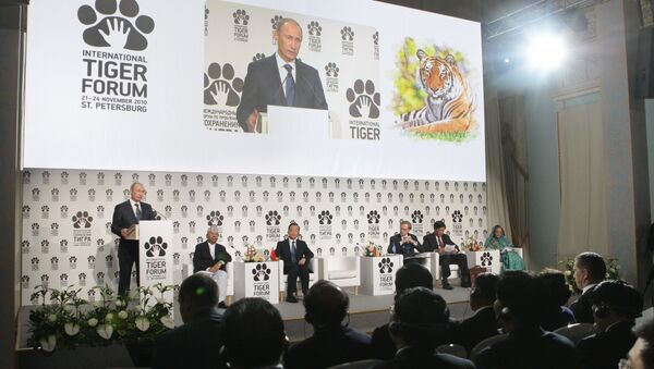 Prime Minister Vladimir Putin (left, foreground) speaking at the International Tiger Conservation Forum, November 23, 2010. (File) - Sputnik International