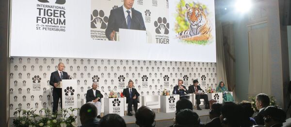 Prime Minister Vladimir Putin (left, foreground) speaking at the International Tiger Conservation Forum, November 23, 2010. (File) - Sputnik International