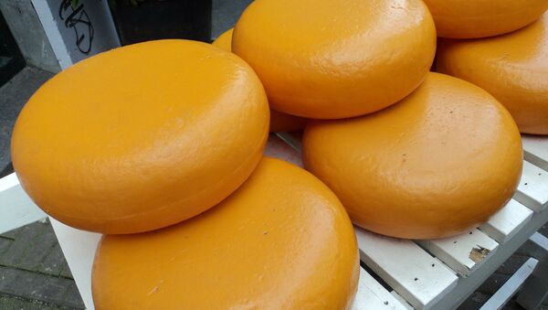 Cheddar cheese - Sputnik International