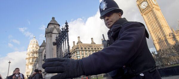 A police officer  outside the Houses of Parliament in central London on November 25, 2015. - Sputnik International
