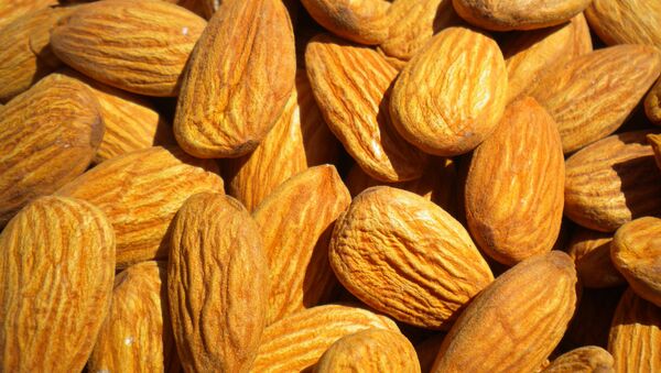This is Nuts: Crime Rings are Stealing Truckloads of Almonds Worth Millions - Sputnik International
