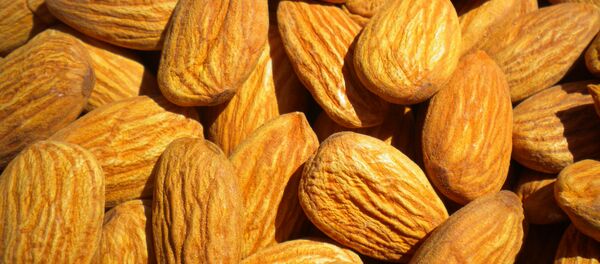 This is Nuts: Crime Rings are Stealing Truckloads of Almonds Worth Millions This is Nuts: Crime Rings are Stealing Truckloads of Almonds Worth Millions - Sputnik International