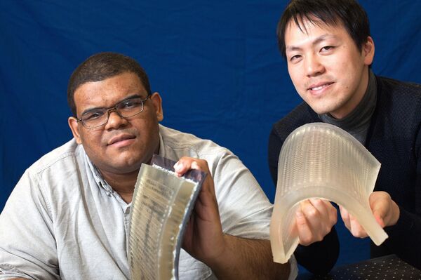 Daniel Sims and Yonghao Yue with flexible lens arrays Daniel Sims and Yonghao Yue with flexible lens arrays - Sputnik International
