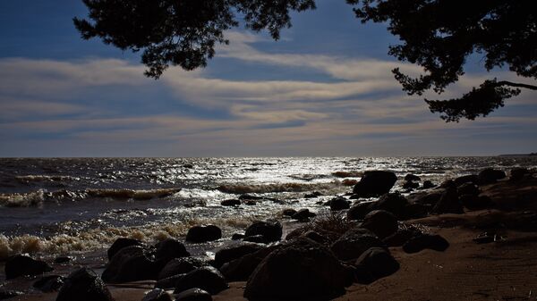 Shore of the Gulf of Finland in the resort area of St. Petersburg - Sputnik International