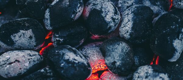 Coal Coal - Sputnik International