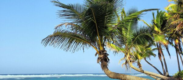 Looking at the luxurious settings in Saudi prisons for inmates with terrorism-related charges, it seems that Riyadh isn’t too willing to punish people who were caught fighting on the side of terrorist organizations in Syria, RT reported. - Sputnik International