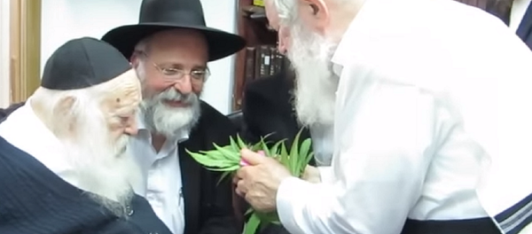 Leading Ultra-Orthodox Rabbi Says Pot’s Kosher for Passover Leading Ultra-Orthodox Rabbi Says Pot’s Kosher for Passover - Sputnik International