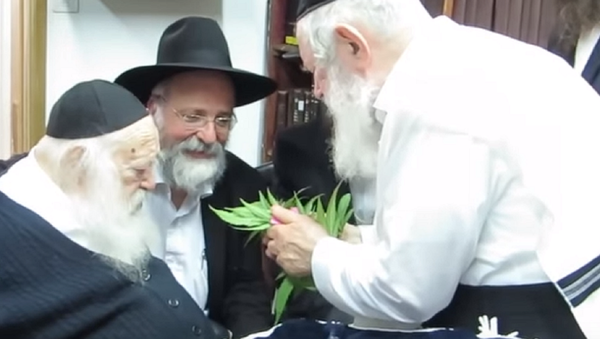 Leading Ultra-Orthodox Rabbi Says Pot’s Kosher for Passover - Sputnik International