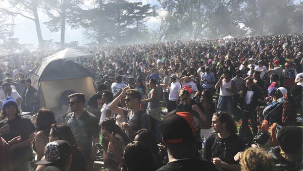 Thousands of marijuana enthusiasts gather on Hippie Hill in San Francisco's Golden Gate Park. - Sputnik International