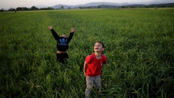 Children look to the sky as they play with a kite in a field at a makeshift camp for migrants and refugees at the Greek-Macedonian border near the village of Idomeni, Greece, April 17, 2016. - Sputnik International