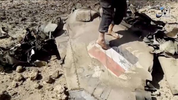 A man walks on the wreckage of a plane that crashed southeast of Damascus, Syria in this still image taken from video said to be shot April 22, 2016 - Sputnik International