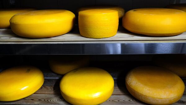 Camembert cheese production in Krasnodar Territory - Sputnik International