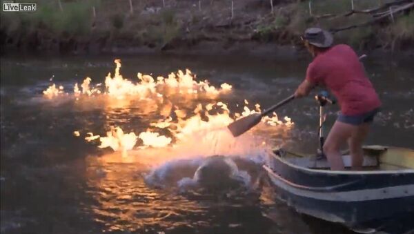 Queensland River Set Alight in Coalseem Gas Protest - Sputnik International