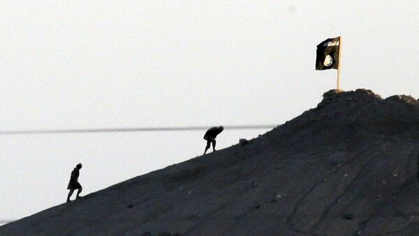 Shot with an extreme telephoto lens and through haze from the outskirts of Suruc at the Turkey-Syria border, Daesh militants are seen after placing their group's flag on a hilltop at the eastern side of the town of Kobani, Syria (File) - Sputnik International