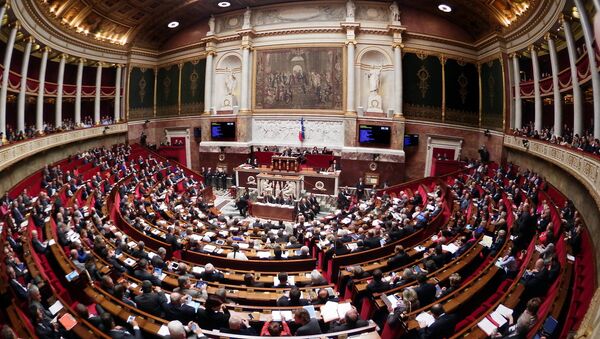 General view of the French National Assembly - Sputnik International