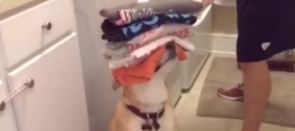 When You Need a Helping Hand When You Need a Helping Hand - Sputnik International