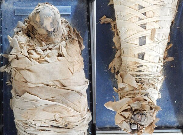 The Egyptian Mummy before treatment The Egyptian Mummy before treatment - Sputnik International