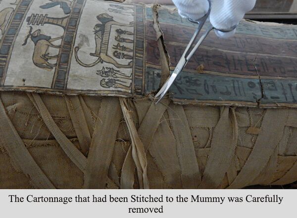 The Egyptian Mummy The Egyptian Mummy - Sputnik International