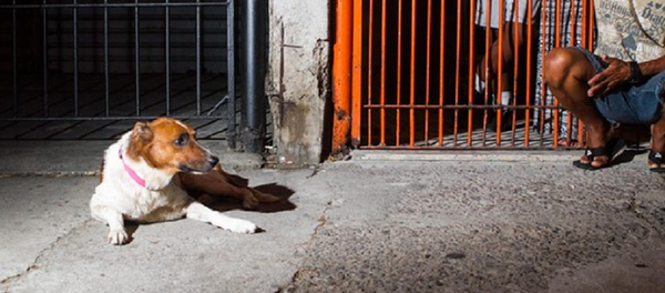 Romerito Romerito - Sputnik International