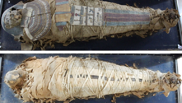 The Egyptian Mummy before treatment - Sputnik International