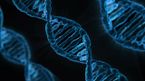 Science & Tech - today's latest news and major events - Sputnik ...