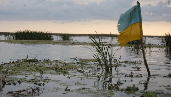 Swamp in Ukraine - Sputnik International