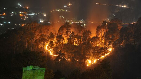 Wildfires burn through jungle near the northern hill town of Shimla in the Indian state of Himachal Pradesh on May 2, 2016 - Sputnik International