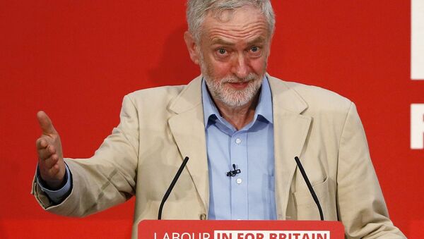 Britain's opposition Labour Party leader Jeremy Corbyn fields questions after giving a speech on Britain's membership of the European Union in London, Britain April 14, 2016. - Sputnik International