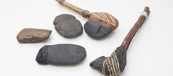 An example of what the axe would have looked like. An example of what the axe would have looked like. - Sputnik International