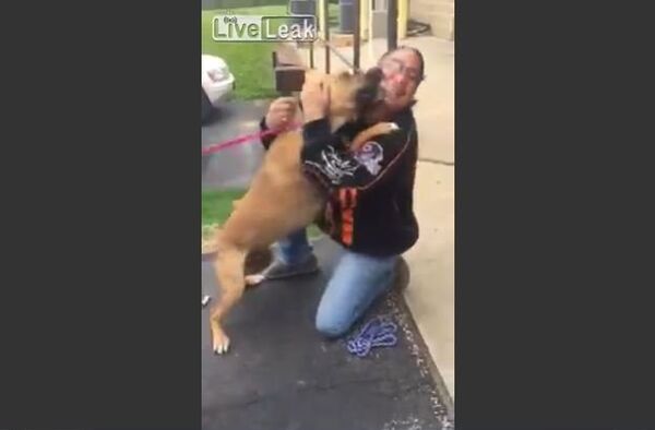 Dog is Super Excited to See his Owner After Two Long Years Dog is Super Excited to See his Owner After Two Long Years - Sputnik International