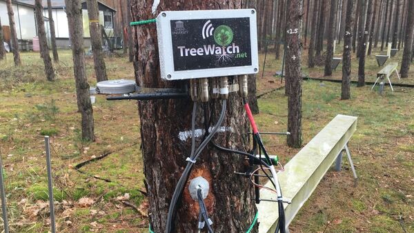 TreeWatch - Sputnik International