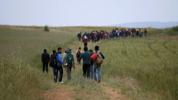 A group of migrants and refugees who stayed in Idomeni makeshift camp walks through a field in attempt to cross the Greek-Macedonian border near the village of Evzoni, Greece, May 12, 2016. - Sputnik International