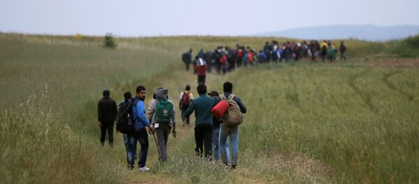A group of migrants and refugees who stayed in Idomeni makeshift camp walks through a field in attempt to cross the Greek-Macedonian border near the village of Evzoni, Greece, May 12, 2016. A group of migrants and refugees who stayed in Idomeni makeshift camp walks through a field in attempt to cross the Greek-Macedonian border near the village of Evzoni, Greece, May 12, 2016. - Sputnik International