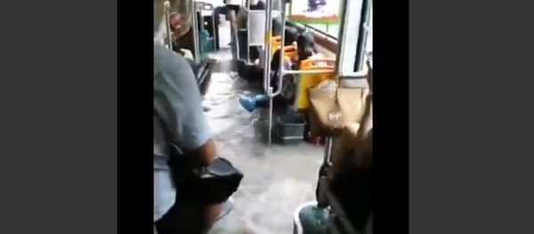 All aboard the zero fux bus - Sputnik International