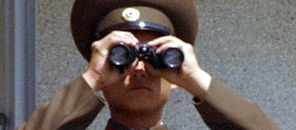 A North Korean military soldier uses a pair of binoculars - Sputnik International