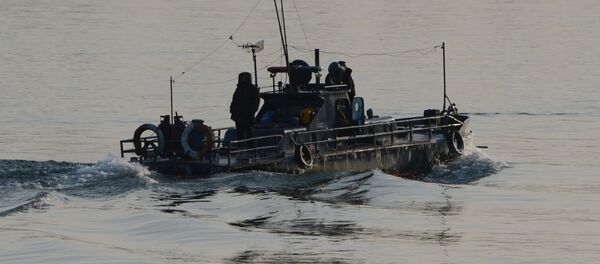 North Korean patrol boat. (File) - Sputnik International