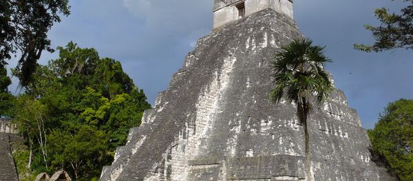 The Temple of The Grand Jaguar in abandoned Tikal The Temple of The Grand Jaguar in abandoned Tikal - Sputnik International
