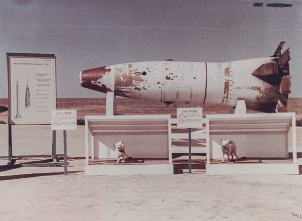 Head of R-2A missile with dogs Palma and Biter after landing - Sputnik International