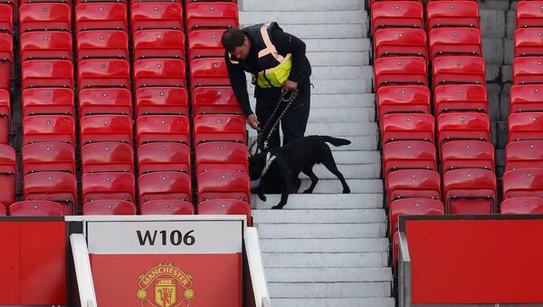 Britain Soccer Football - Manchester United v AFC Bournemouth - Barclays Premier League - Old Trafford - 15/5/16A police dog after the match was abandoned. - Sputnik International
