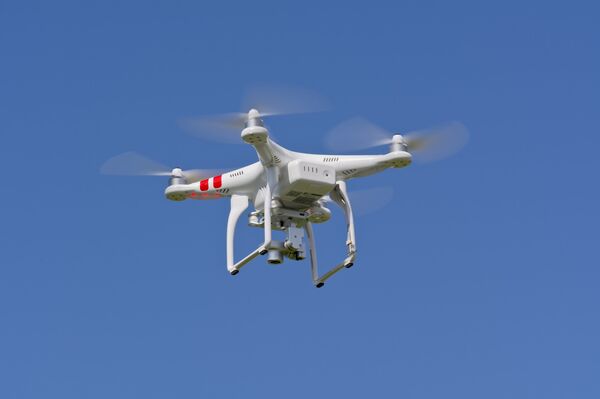 US Grounds All Non-Emergency Drones Made in China - Manufacturer US Grounds All Non-Emergency Drones Made in China - Manufacturer - Sputnik International